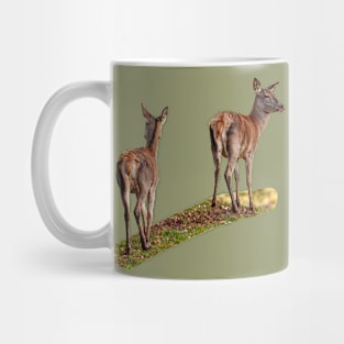 A walk in the park Mug